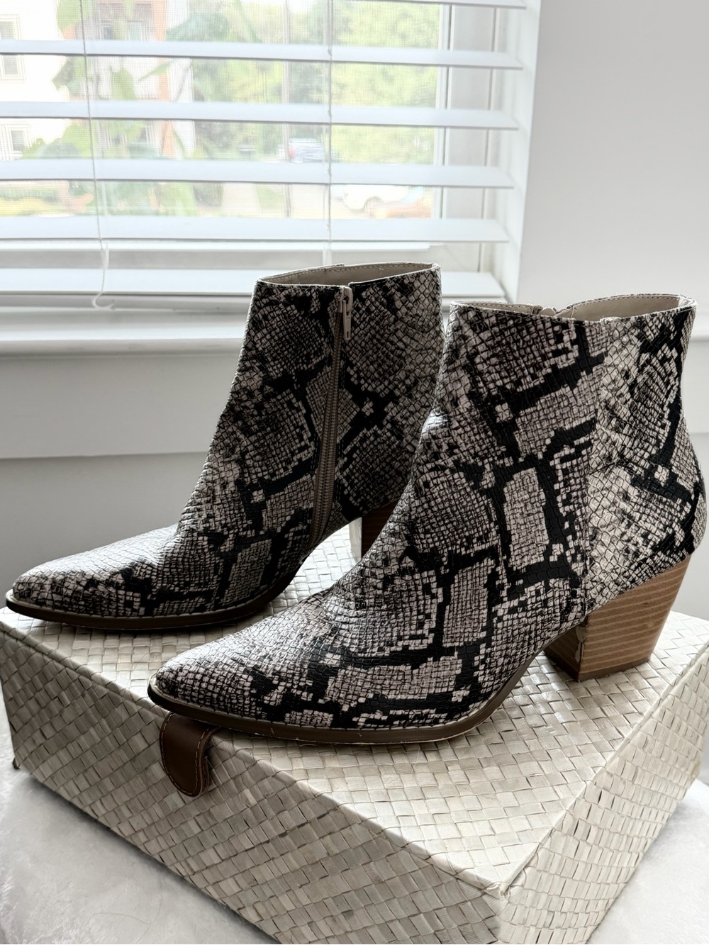 Source Unknown Black & Cream Snake-Print Ankle Booties